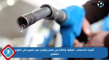 تثبيت الأسعار.. الوقود والغاز في مصر يبقيان دون تغيير حتى أكتوبر المقبل